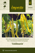 Salkovahapapu 'Goldmarie'