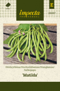 Salkopapu 'Matilda'