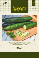 Kasvihuonekurkku F1 'Max'
