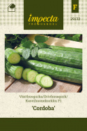 Kasvihuonekurkku F1 'Cordoba'