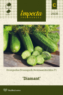 Avomaankurkku F1 'Diamant'
