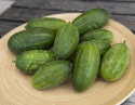 Avomaankurkku F1 'Anulka'