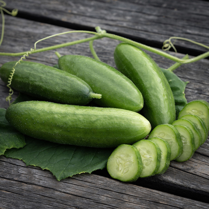 Kasvihuonekurkku 'Beth Alpha'