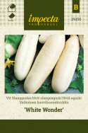 Valkoinen kasvihuonekurkku 'White Wonder'