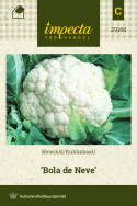 Kukkakaali 'Bola de Neve'