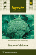 Parsakaali 'Ramoso Calabrese'