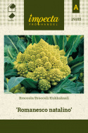 Kukkakaali 'Romanesco natalino'
