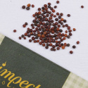 Palmukaali 'Nero di Toscana'