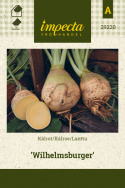 Lanttu 'Wilhelmsburger'