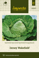 Suippokaali 'Jersey Wakefield'