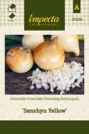 Keltasipuli 'Senshyu Yellow'
