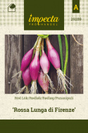 Punasipuli 'Rossa Lunga di Firenze'