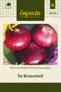 Punasipuli 'De Brunswick'