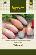 Salottisipuli 'Zébrune'