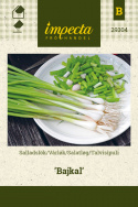 Talvisipuli 'Bajkal'
