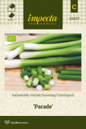 Talvisipuli 'Parade'