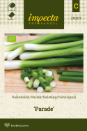 Talvisipuli 'Parade'