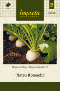 Nauris F1 'Natsu Komachi'