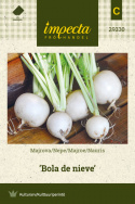 Nauris 'Bola de nieve'
