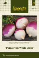Nauris 'Purple Top White Globe'