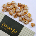 Sokerimaissi F1 'Sweet Nugget'
