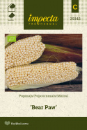 Maissi 'Bear Paw'