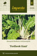 Lehtimangoldi 'Fordhook Giant'