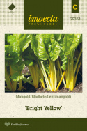 Lehtimangoldi 'Bright Yellow'