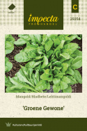 Lehtimangoldi 'Groene Gewone'