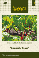 Lehtimangoldi 'Rhubarb Chard'