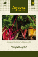 Lehtimangoldi 'Bright Lights'