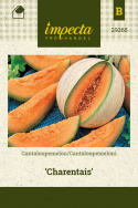 Cantaloupemeloni 'Charentais'