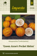 Tuoksumeloni 'Queen Anne's Pocket Melon'