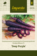 Kesäporkkana F1 'Deep Purple'