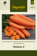 Kesäporkkana 'Nantes 2'