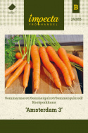 Kesäporkkana 'Amsterdam 3'