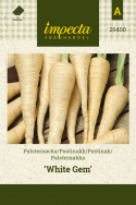 Palsternakka 'White Gem'