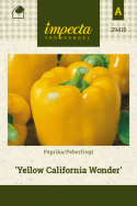 Paprika 'Yellow California Wonder'