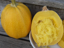 Spagettikurpitsa 'Pyza'