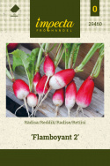 Retiisi 'Flamboyant 2'