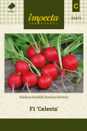 Retiisi F1 'Celesta'
