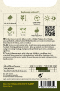 Retiisi F1 'Celesta'