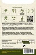 Retiisi F1 'Celesta'