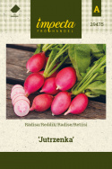 Retiisi 'Jutrzenka'