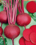 Punajuuri 'Detroit Dark Red 2'