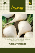 Valkoinen punajuuri 'Albina Vereduna'