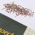 Lehtiselleri 'Golden Self Blanching 2'