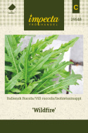 Isohietasinappi (sylvetta) 'Wildfire'