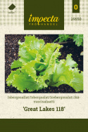 Jäävuorisalaatti 'Great Lakes 118'