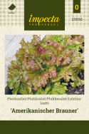Lehtisalaatti 'Amerikanischer Brauner'
